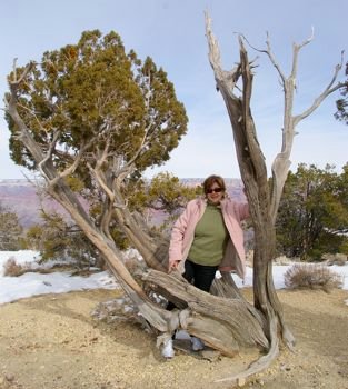 Grand Canyon by MiKix