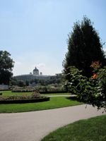 Viena