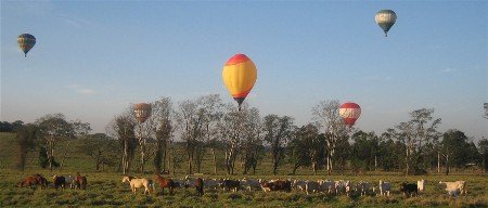 Festival de balões em São Carlos