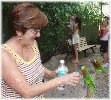 Mamae na bush gardens em Tampa.